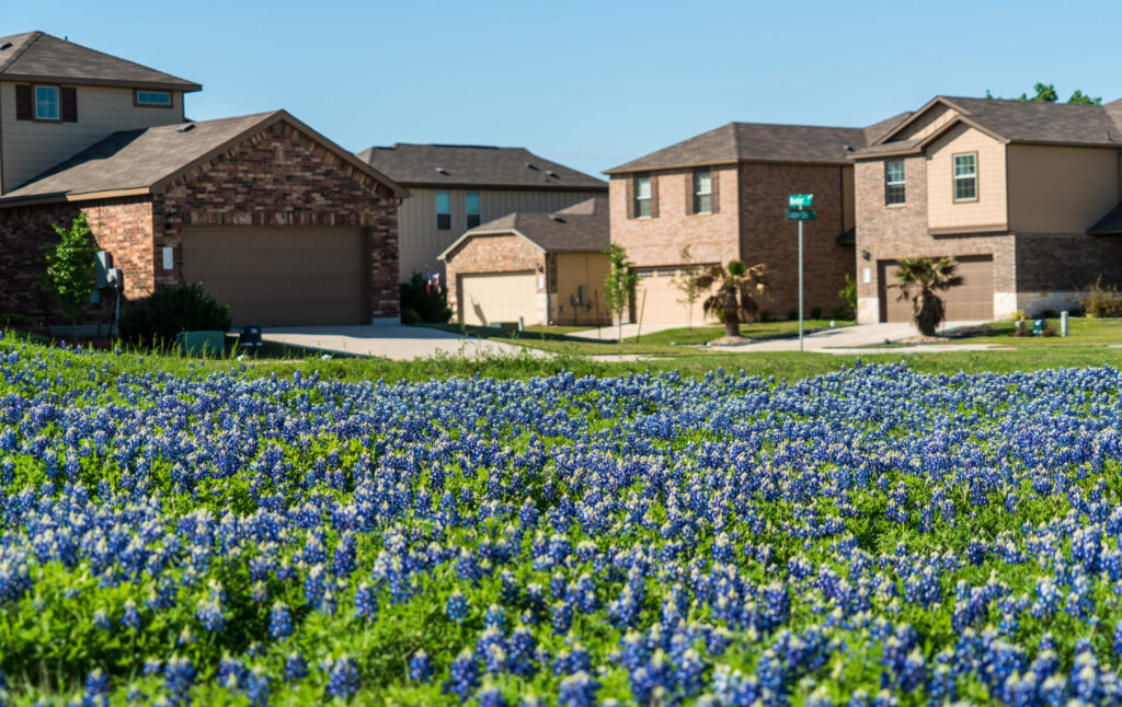 A group of houses in Katy, TX. 