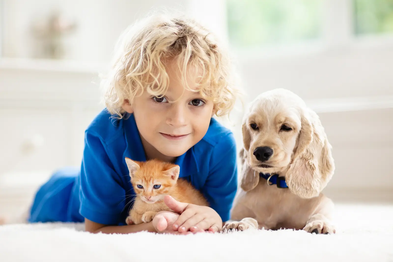 Service Animals vs ESAs vs Pets: What You Can Legally Ask as a Houston Landlord